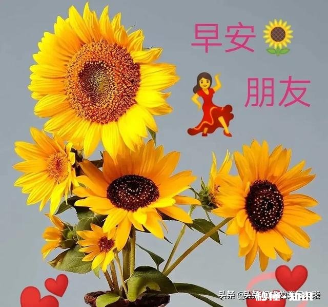 有多少男人在婚姻里活成了无赖