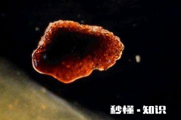 有什么适合孩子玩的益智玩具