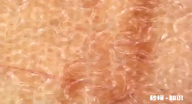 有什么适合孩子玩的益智玩具