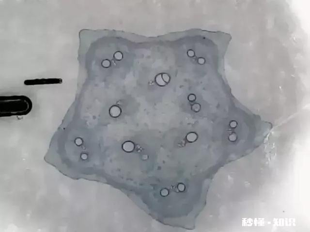 有什么适合孩子玩的益智玩具