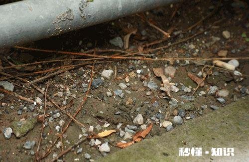 有什么适合孩子玩的益智玩具