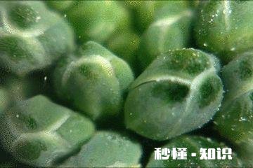 有什么适合孩子玩的益智玩具