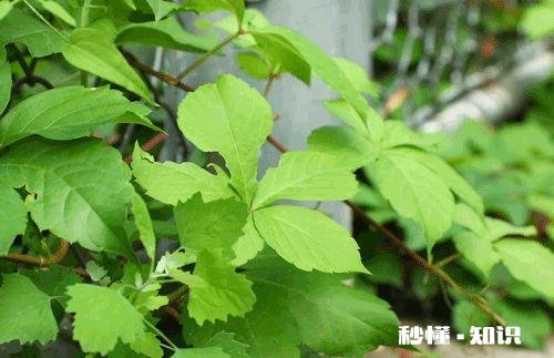 有什么适合孩子玩的益智玩具