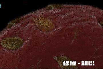 有什么适合孩子玩的益智玩具