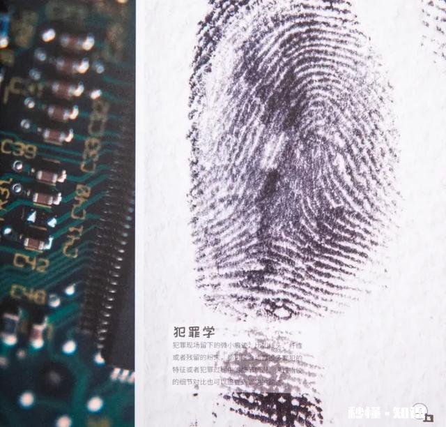 有什么适合孩子玩的益智玩具