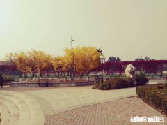 女生一般对哪些话题感兴趣