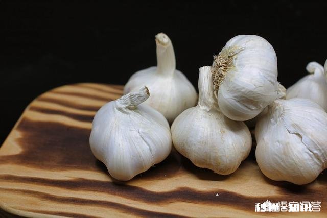 吃什么蔬菜对感冒有帮助