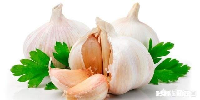 吃什么蔬菜对感冒有帮助