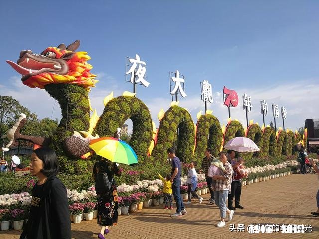 12-25岁消费群体买零食多还是食材多您在哪一块支出占比高