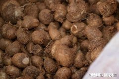 林下种植的少量中药材可以到哪里去卖怎么找销路