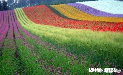 四月份去贵州,去哪些景点好