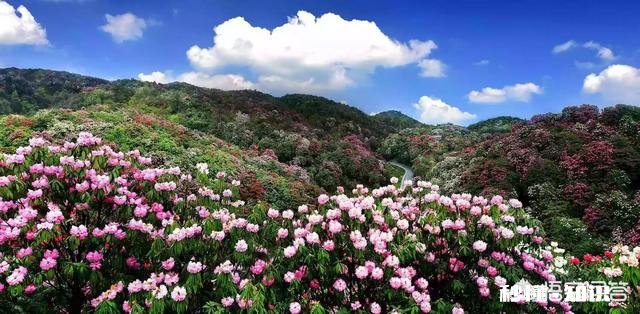 四月份去贵州,去哪些景点好