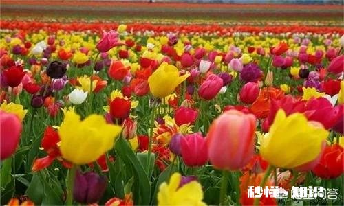 四月份去贵州,去哪些景点好