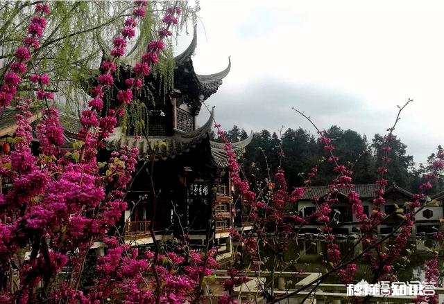 四月份去贵州,去哪些景点好