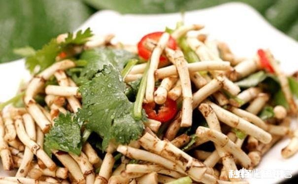 农村田边地头好多中草药，但是无人固定收购，有没有卖出去的方法