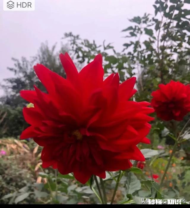 送给妈妈的礼物有什么推荐