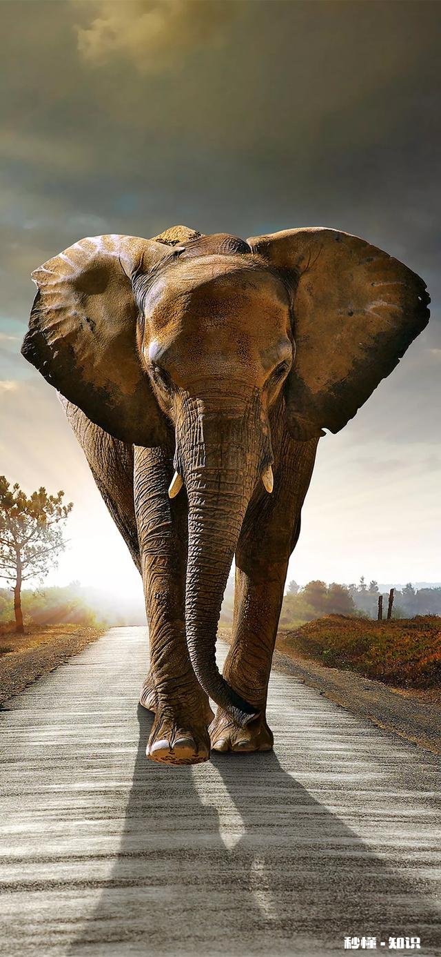 有什么好看的壁纸可以分享一下吗