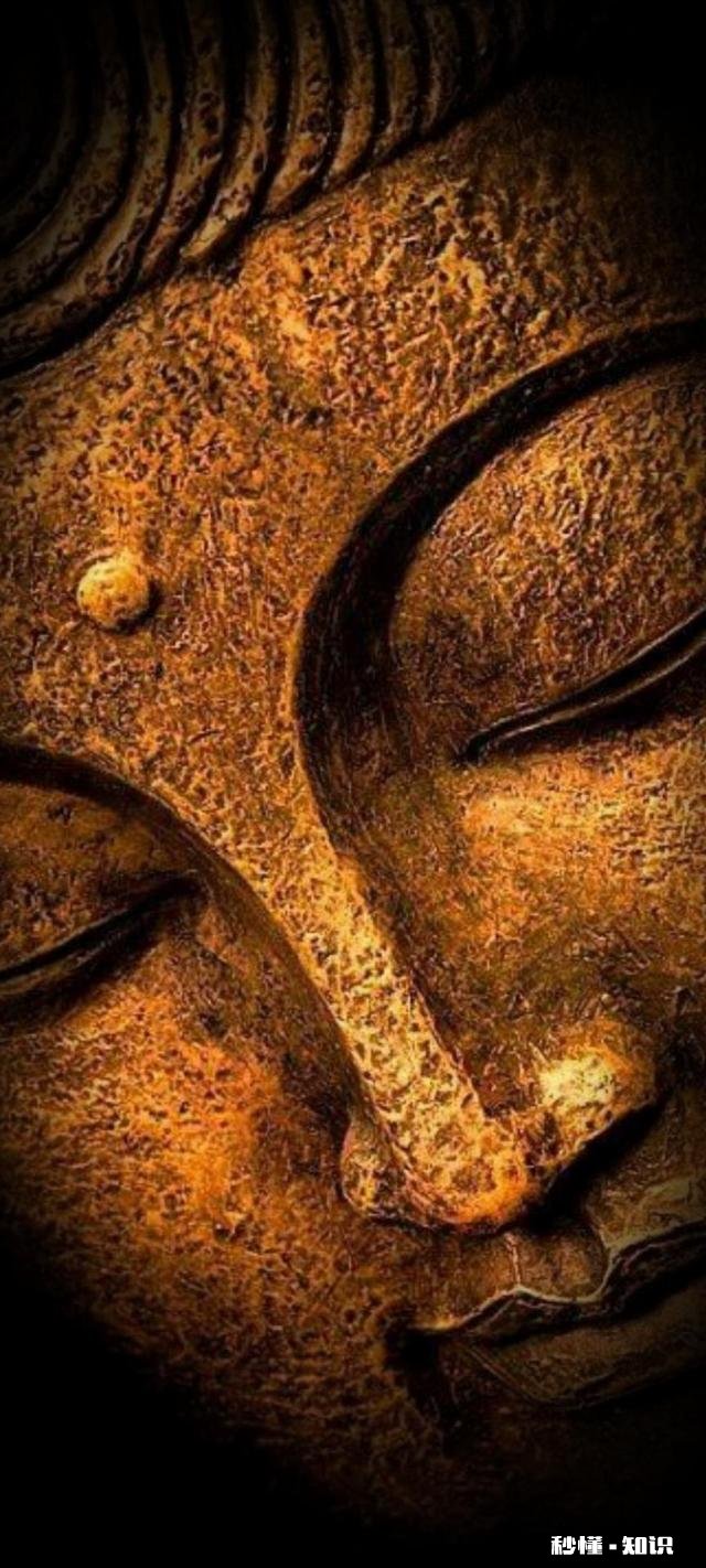 有什么好看的壁纸可以分享一下吗