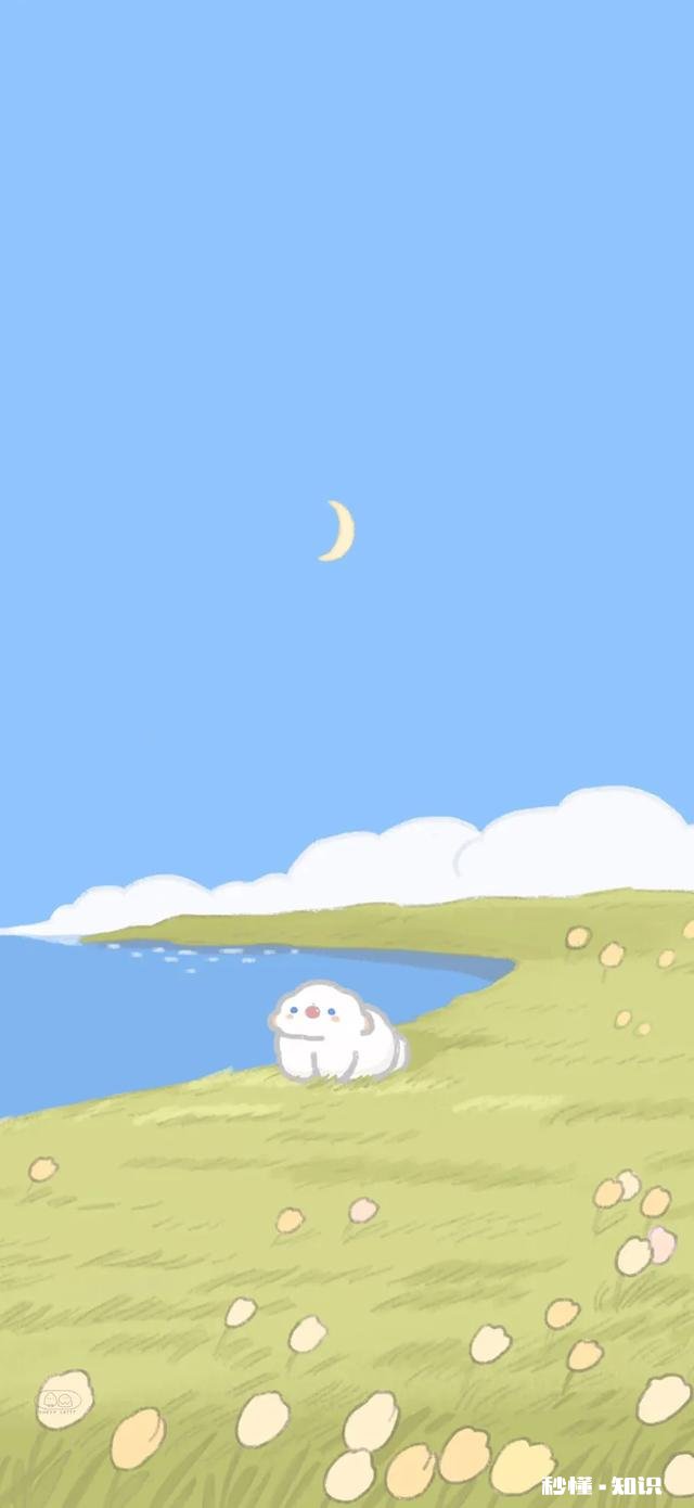 有什么好看的壁纸可以分享一下吗