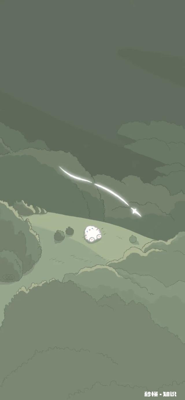 有什么好看的壁纸可以分享一下吗