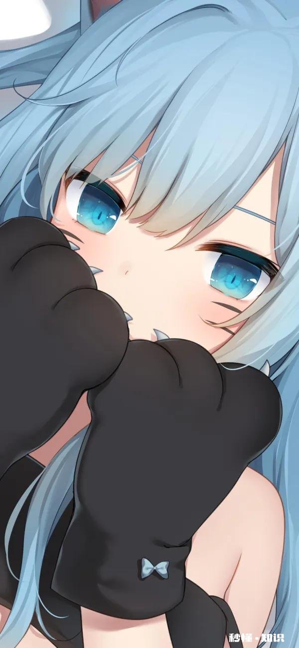 有什么好看的壁纸可以分享一下吗