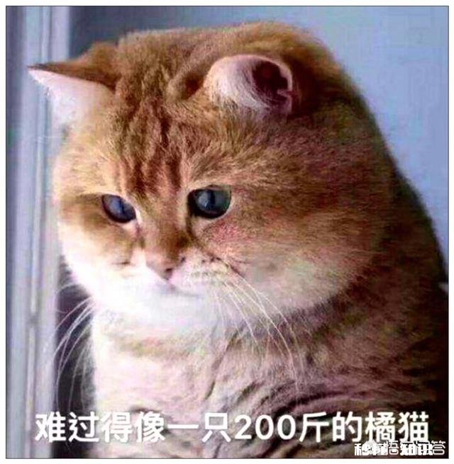 你拥有哪些斗图的表情包或表情