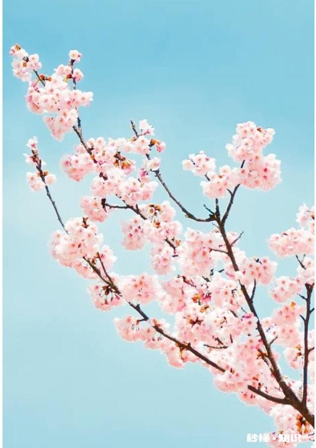 “‘打工不挣钱,耽误时间’这话是毒鸡汤,害了年轻人”你怎么看