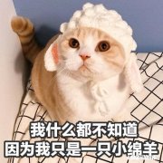 男生的嫂子插手他和女朋友的事，合适吗