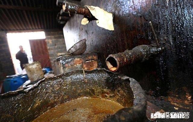 怎么识别加地沟的食用油