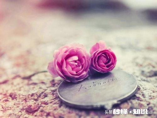 当暗恋的人对你笑时，是什么感受