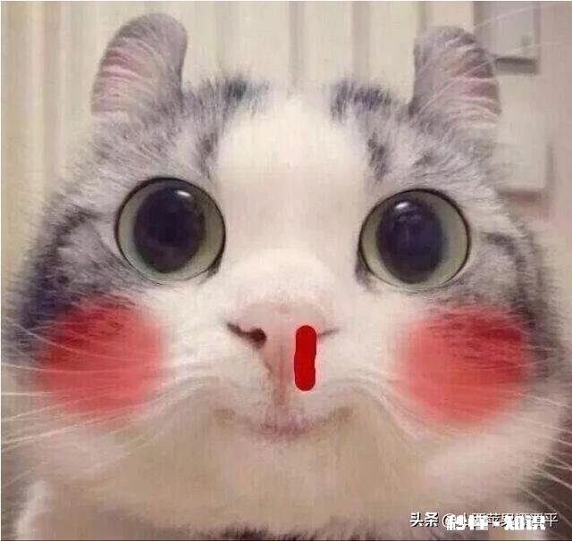 当暗恋的人对你笑时，是什么感受