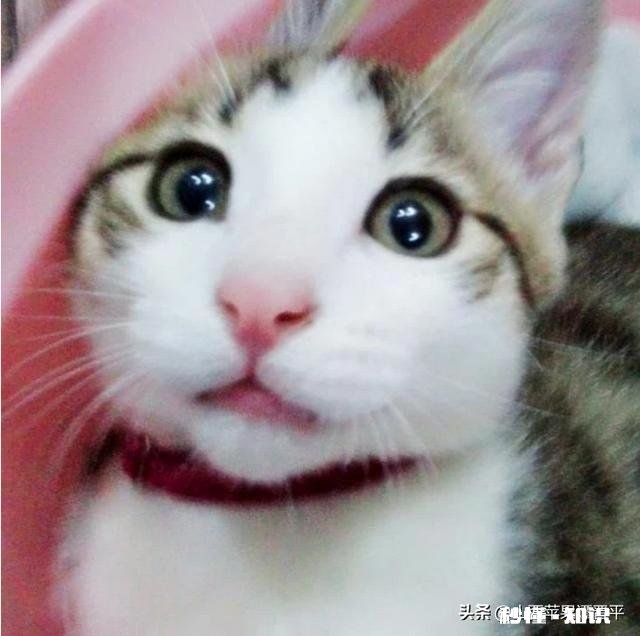 当暗恋的人对你笑时，是什么感受