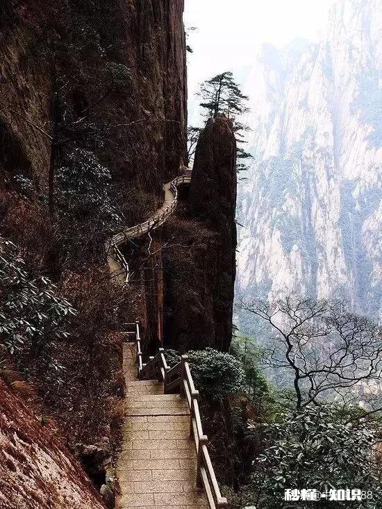 如果夫妻俩在家都是各玩各的，几乎没有几句交流，这说明了什么问题呢