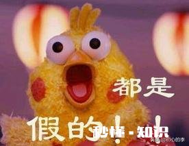 如果夫妻俩在家都是各玩各的，几乎没有几句交流，这说明了什么问题呢