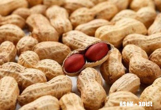 糖尿病的人在饮食方面需注意哪些忌口