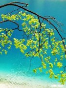 上联：雪落少白头，如何对下联