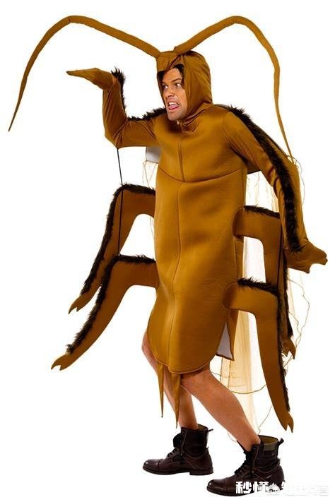 蟑螂这种生物为什么可以历经几亿年时光也没有灭亡呢