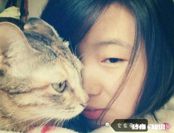 我国的本土猫那么优秀，为什么还不是纯种猫为什么