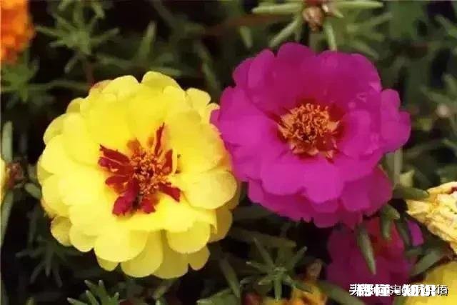 异地男友经常微信问干嘛呢是不是代表他经常想我