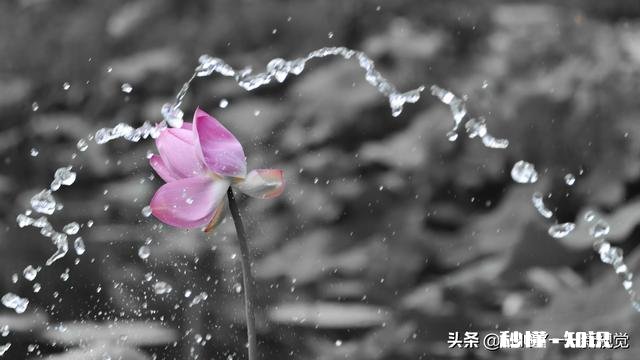 退休的“退友”们，愿意把你们退休后的快乐生活和体会分享一下吗