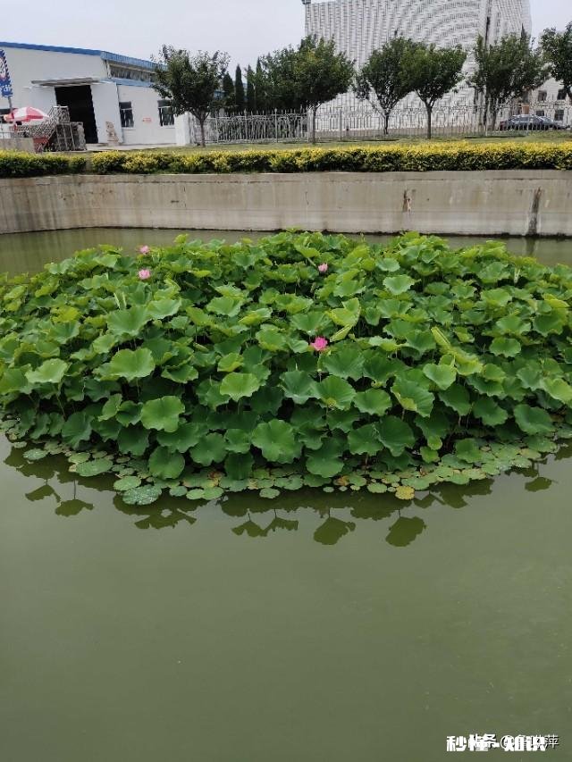 退休的“退友”们，愿意把你们退休后的快乐生活和体会分享一下吗