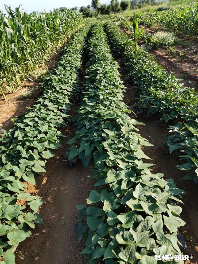 退休的“退友”们，愿意把你们退休后的快乐生活和体会分享一下吗