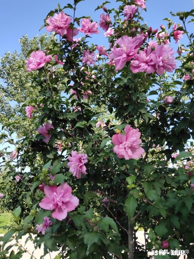 退休的“退友”们，愿意把你们退休后的快乐生活和体会分享一下吗