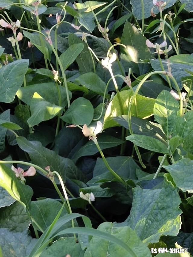 退休的“退友”们，愿意把你们退休后的快乐生活和体会分享一下吗