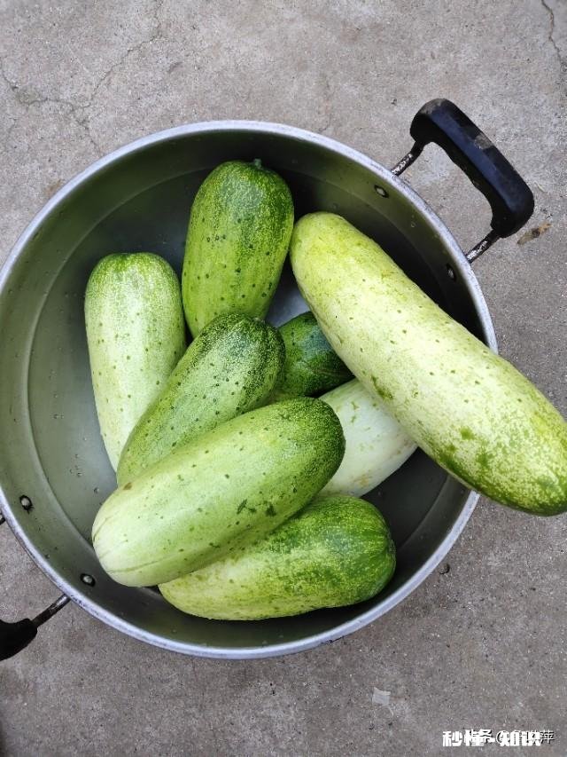 退休的“退友”们，愿意把你们退休后的快乐生活和体会分享一下吗