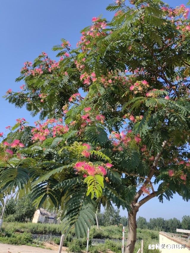 退休的“退友”们，愿意把你们退休后的快乐生活和体会分享一下吗