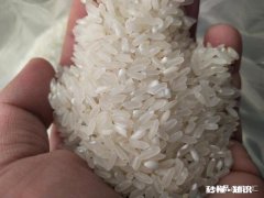 在农村开间大米加工厂还有市场吗怎么做