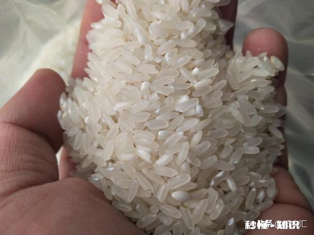 在农村开间大米加工厂还有市场吗怎么做