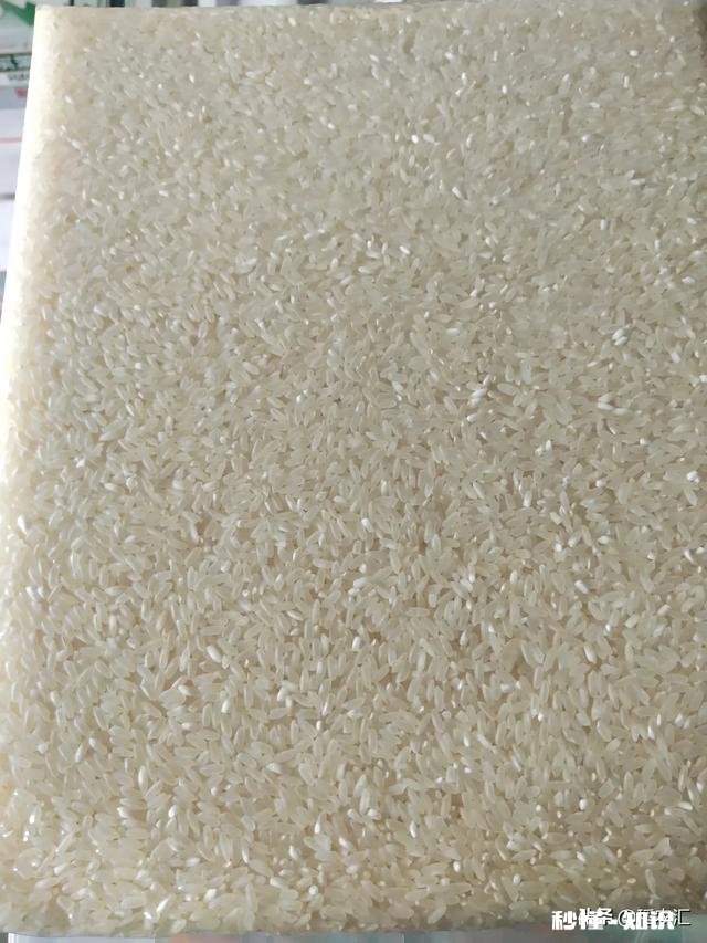 在农村开间大米加工厂还有市场吗怎么做