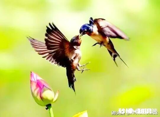 为什么有些人认为牺牲生命换取金钱能让家人更幸福